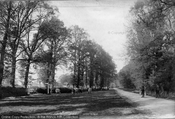Photo of Epsom, Horton Lane 1895