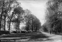 Horton Lane 1895, Epsom