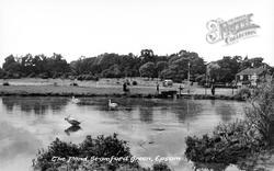 Stamford Green, Pond c.1955, Epsom