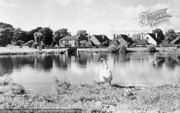 Photo of Epsom, The Pond, Stamford Green c.1955