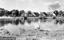 The Pond, Stamford Green c.1955, Epsom
