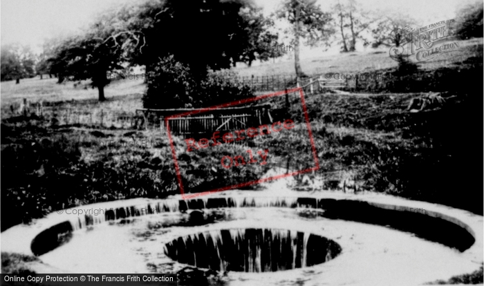 Photo of Erddig, Erddig Park, The Cup And Saucer c.1955
