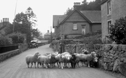 Bow Fell 1932, Eskdale Green