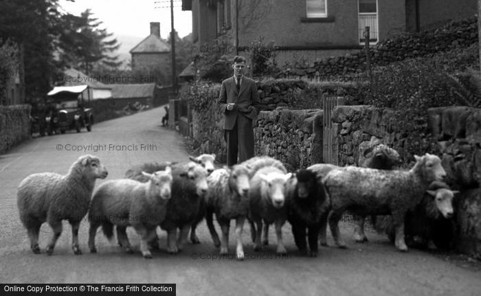 Photo of Eskdale Green, Flock Of Sheep, Bow Fell 1932