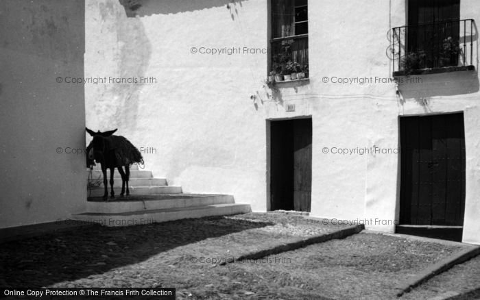 Photo of Estepona, Donkey In The Village 1960