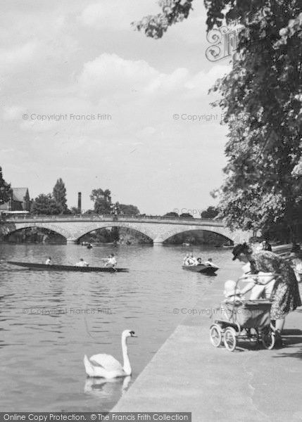 Photo of Evesham, Swan On The River Avon c.1955