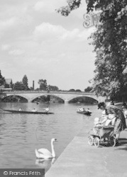 Swan On The River Avon c.1955, Evesham