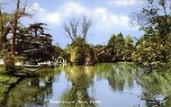 Ewell Court Pond c.1960, Ewell