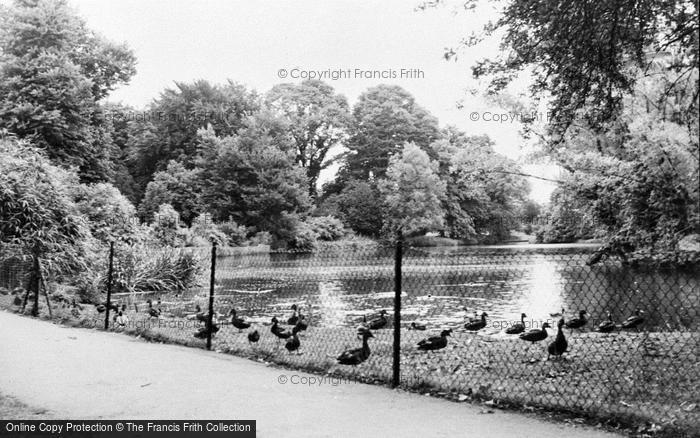 Photo of Ewell, Ewell Court, The Lake c.1965