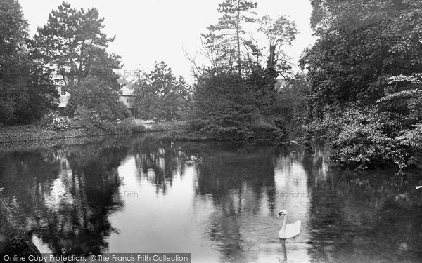 Photo of Ewell, Fitznells 1924