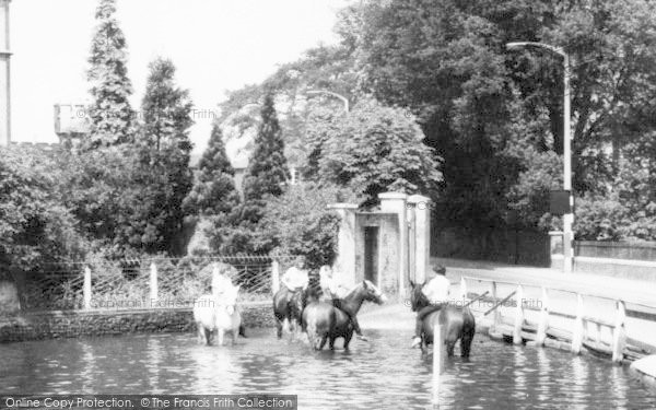 Photo of Ewell, Horses In The Pond, Old Village c.1965