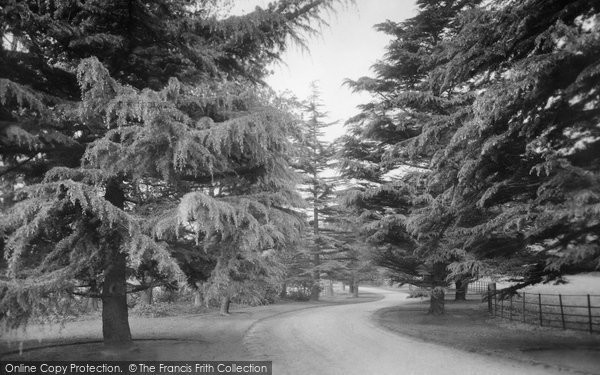 Photo of Ewell, The Park 1925