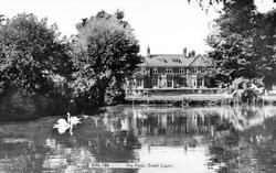 The Pond c.1965, Ewell