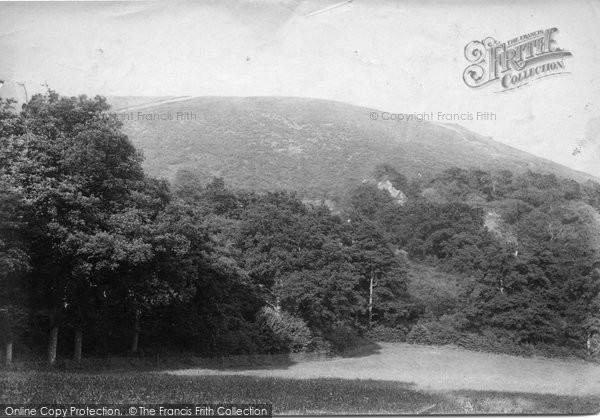 Photo of Ewhurst, Pitch Hill From The Warren 1904