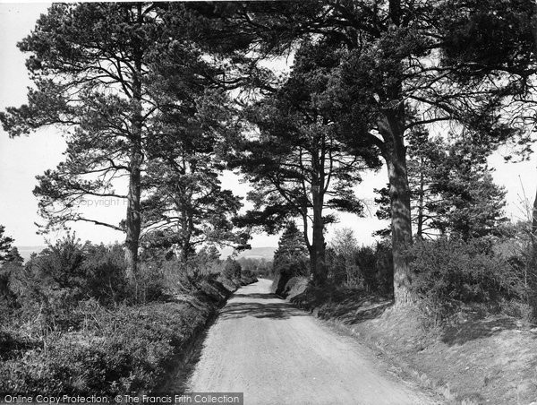 Photo of Ewhurst, Pitch Hill, Road To Peaslake 1927