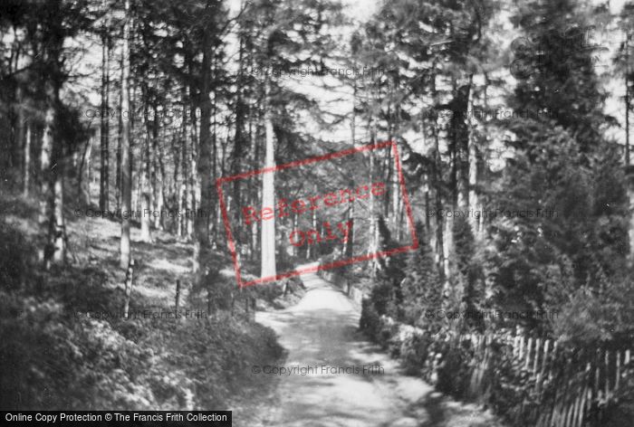 Photo of Ewhurst, The Warren, Near Summerfold 1927