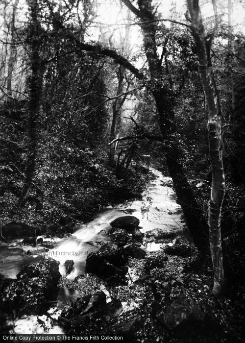 Photo of Ewloe, Wepre Brook c.1950