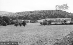 Elmdale And Callowside c.1965, Ewyas Harold