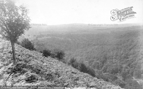 Photo of Exmoor, Dunkery From Horner Woods 1901