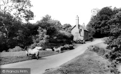 Exmoor Sheep c.1965, Exmoor