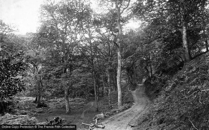 Photo of Exmoor, Horner Woods 1907