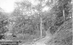 Horner Woods 1907, Exmoor