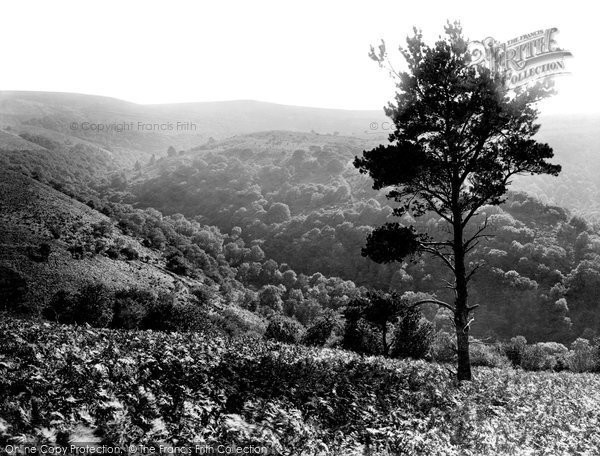 Photo of Exmoor, Horner Woods From Dunkery Beacon 1921