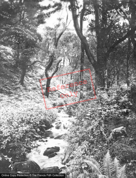 Photo of Exmoor, Horner Woods, The Stream c.1925