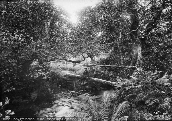 Photo of Exmoor, The Path To Cloutsham Farm 1907