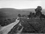Webber's Post 1921, Exmoor