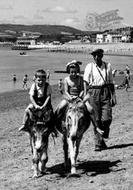 Donkey Rides c.1960, Exmouth