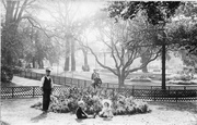 Esplanade Gardens 1906, Exmouth
