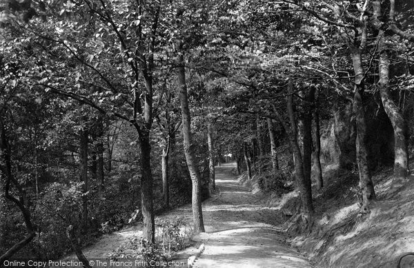 Photo of Exmouth, The Plantation 1890
