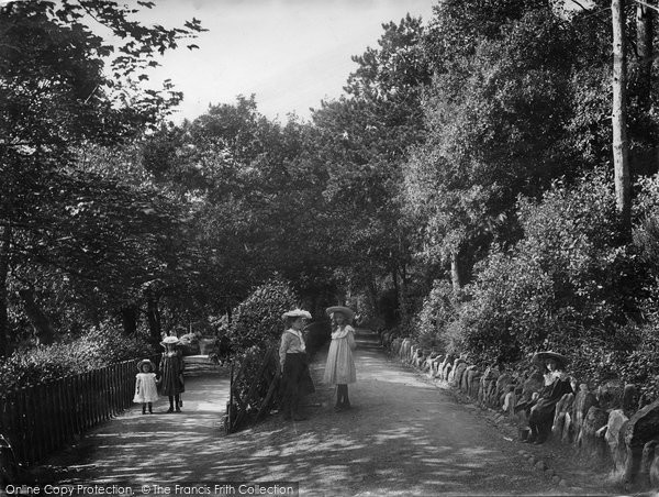 Photo of Exmouth, The Plantation 1906