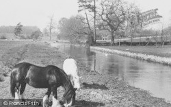 The River Coln c.1958, Fairford