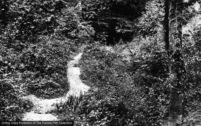 Photo of Fairlight Glen, 1876