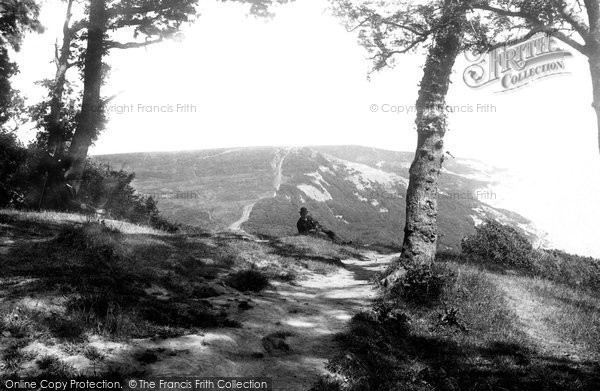 Photo of Fairlight Glen, 1890