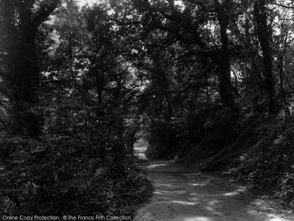 Photo of Fairlight Glen, 1925