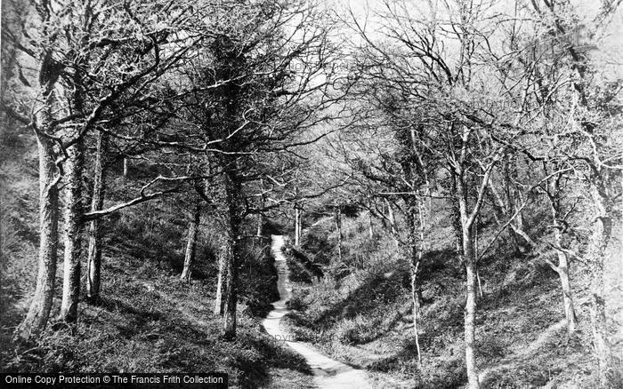Photo of Fairlight Glen, c.1880