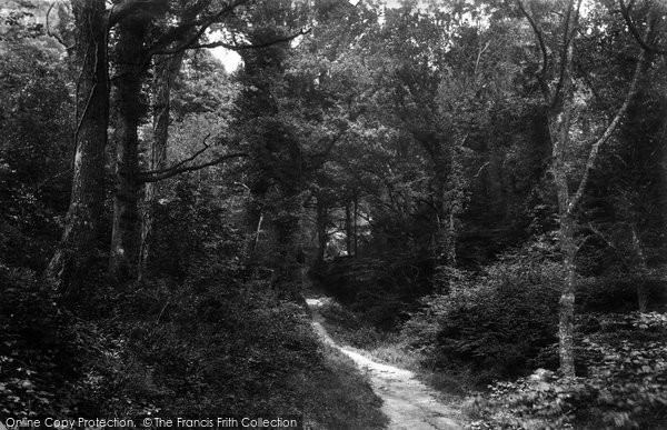 Photo of Fairlight Glen, The Lovers' Seat 1890