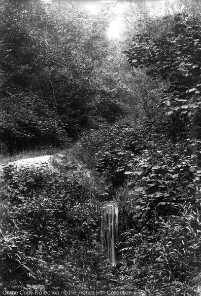 Photo of Fairlight Glen, The Lovers' Seat 1890