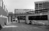 Brighton College Of Education c.1965, Falmer