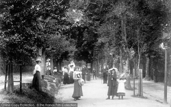 Photo of Falmouth, Arwenack Avenue 1904
