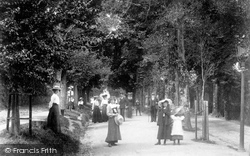 Arwenack Avenue 1904, Falmouth