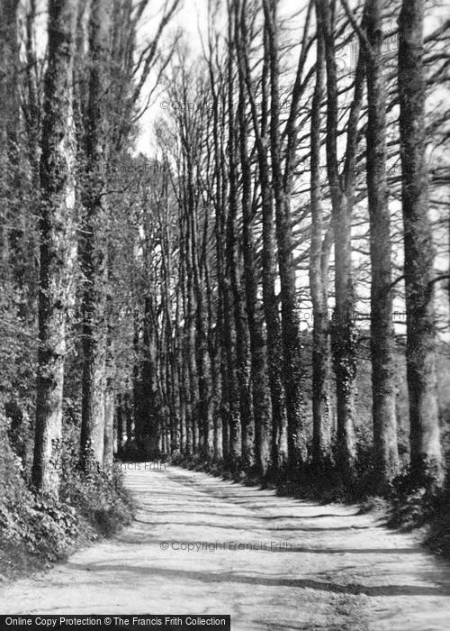 Photo of Falmouth, Marlborough Avenue c.1927