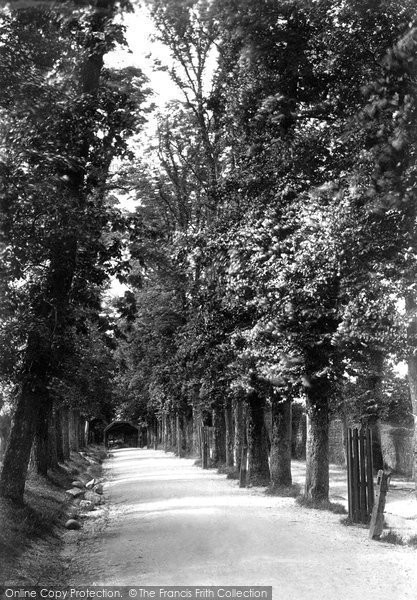 Photo of Falmouth, Rope Walk Avenue 1890