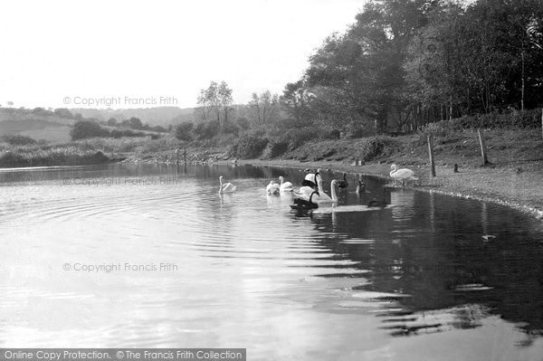 Photo of Falmouth, Swanpool 1910