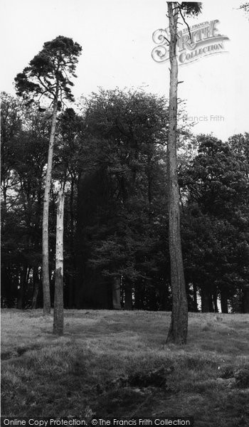 Photo of Faringdon, The Folly c.1965