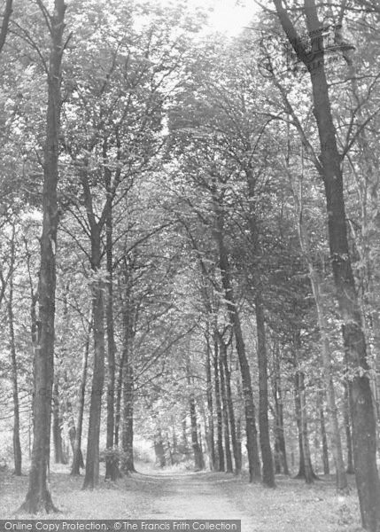Photo of Farington, Bashall's Wood c.1955