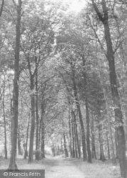 Bashall's Wood c.1955, Farington
